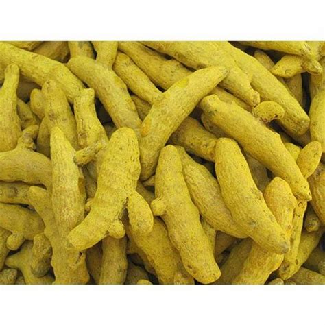 Dry Turmeric Fingers At Rs 105 Kg Turmeric Finger In Indore ID