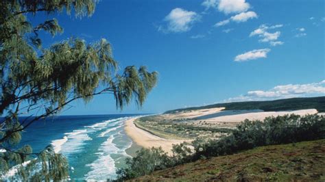 Australien Fraser Island Ist Die Weltgrößte Sandinsel Bilder And Fotos