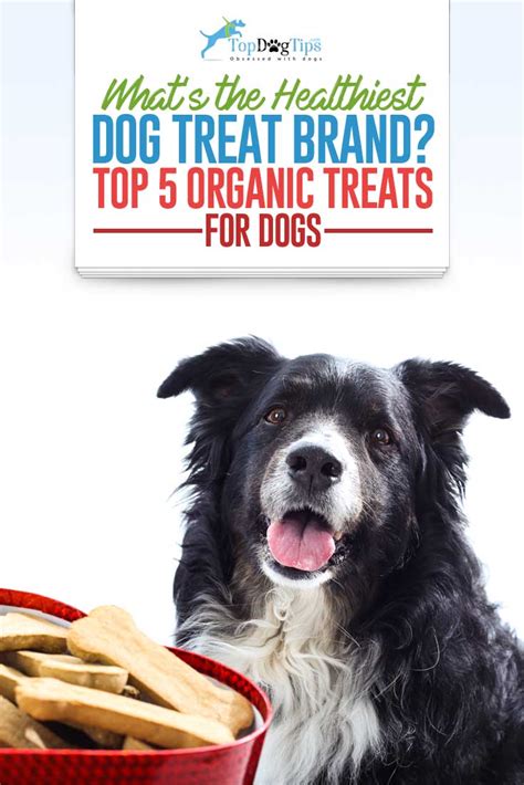 Top 5 Best Organic Dog Treats In 2017 Usda Organic Certified