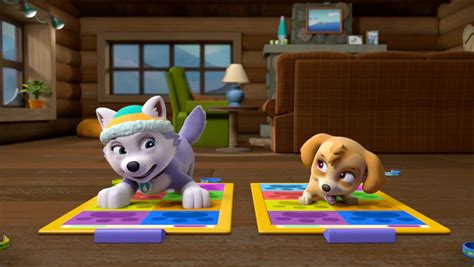 Pups Save A Wild Ridetrivia Paw Patrol Wiki Fandom Powered By Wikia