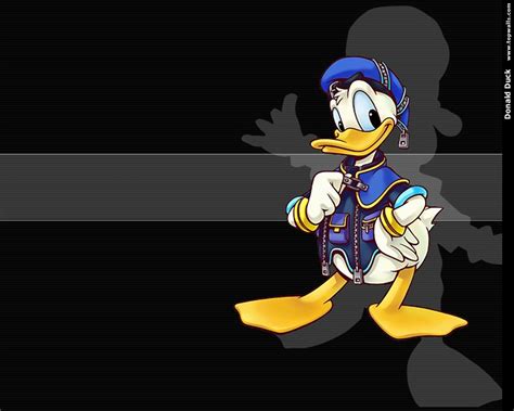 Hd donald duck wallpaper free full hd download, use for mobile and desktop. Daffy Duck Wallpapers - WallpaperSafari