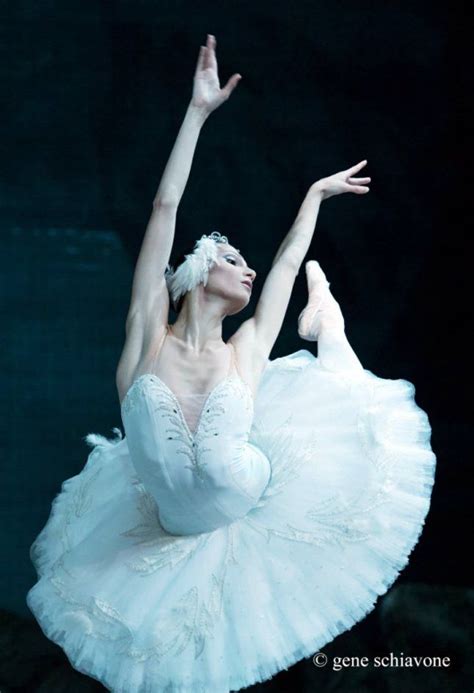 Ballet The Best Photographs On Dance Images Ballet