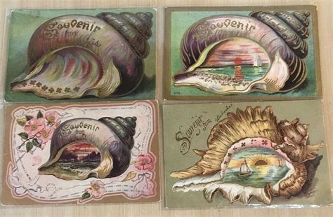 Lot Of 4 Antique Souvenir Shells Seashells Postcardsearly 1900s C715