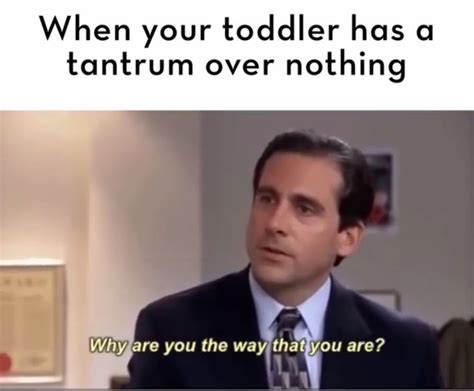 When your toddler has a tantrum over nothing | Mommy humor ...