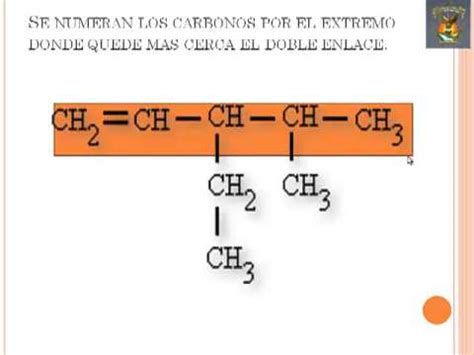 Ejemplos Guia De Ejercicios De Alcanos Alquenos Y Alquinos Resueltos