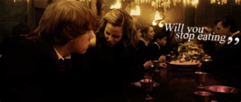 Harry potter is a rugby union player currently signed with the leicester tigers in premiership rugby. Recipes for the Perfect "Potter" Thanksgiving | MuggleNet