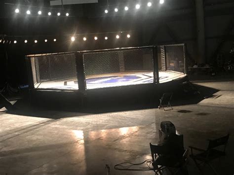 Mma Fighting Ring Daily Rental Pro Fight Shop