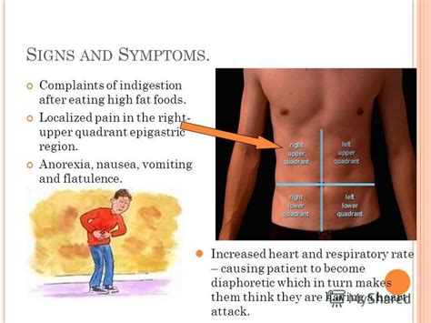 Sharp Pain In Upper Right Abdomen After Eating A High Fat Meal Bios Pics