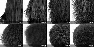 Diversity Of Hair Types L Oréal Group Hair Type Chart Black Hair