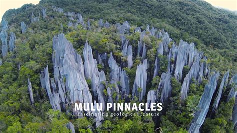 Closed for visitation until further notice. Journey to Mulu National Park & Pinnacles (Sarawak ...