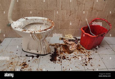 Disgusting Toilet Hi Res Stock Photography And Images Alamy