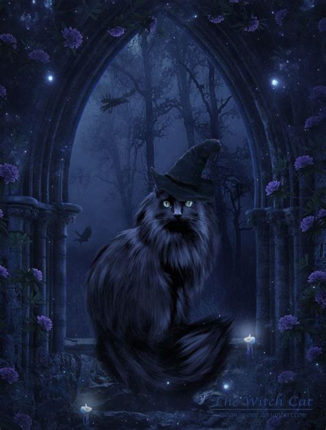 The Witch Cat Remastered By Melanienemo Deviantart Com On DeviantArt Fantasy Witch Gothic