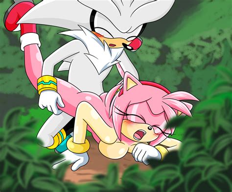 1243569 Amy Rose Silver The Hedgehog Sonic Team Project770 Holy Shit