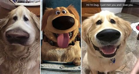 Snapchat is a popular social media platform for people to share their moments with their friends. This Cool 'Snapchat' Filter Will Make Your Dog Look Like 'Dug' From 'Up'