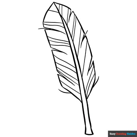 Feather Coloring Page Easy Drawing Guides