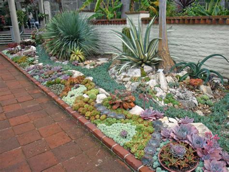 A virtual three dimensional effect with a myriad of color schemes can be easily designed and planted in a garden bed or a large container. How to Plant an Outdoor Succulent Garden | World of Succulents