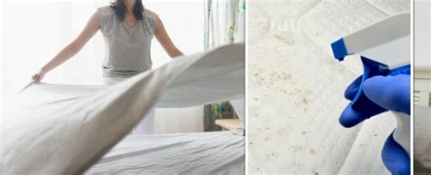 How To Properly Clean Mattresses To ‘kill Off Any Dust Mites Using
