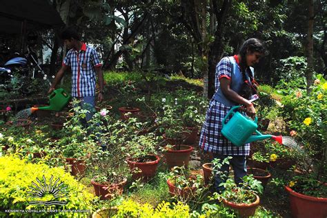 Library , knowledge hub of vidyalaya situated in main building, providing information to the user community, club activities and so on. Eco-Friendly Steps That Made These 2 Kerala Schools Award ...