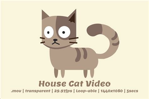 2d Cartoon Cat Video Illustrations ~ Creative Market