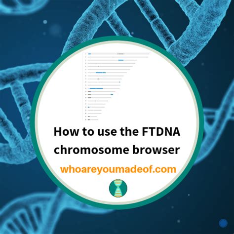 How to Use the FTDNA Chromosome Browser - Who are You Made Of?