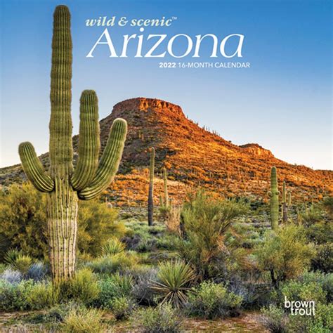 Arizona Wild And Scenic 2022 Mini Wall Calendar