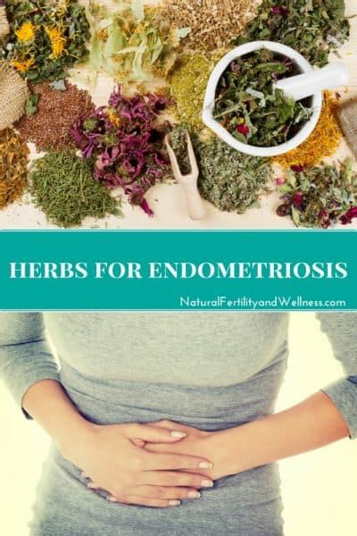 Herbs For Endometriosis 7 Different Herbal Remedies To Reduce Symptoms
