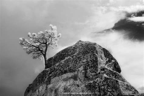 A Guide To Infrared Photography