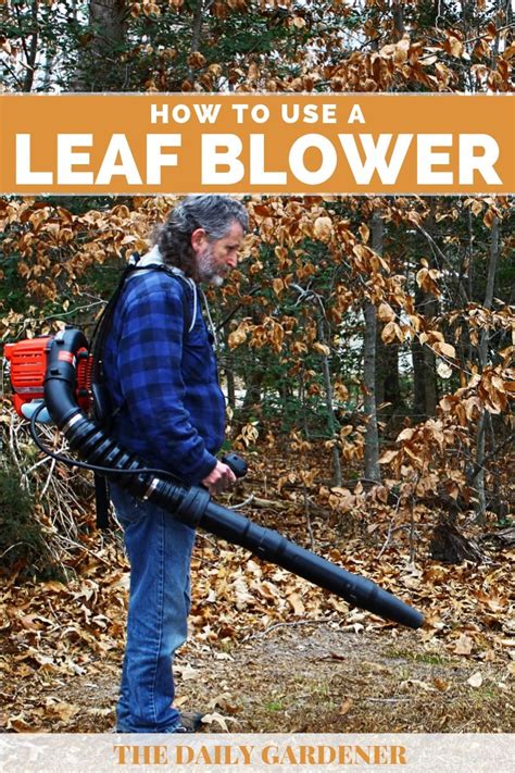 We did not find results for: How to Use a Leaf Blower? (Steps & Tips) - The Daily Gardener