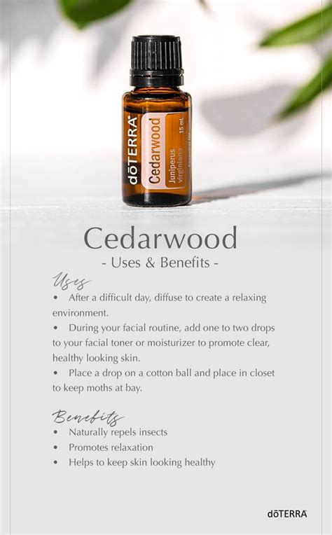 Here are some of the best ways you can use cedarwood essential oil for hair loss: Cedarwood Uses & Benefits