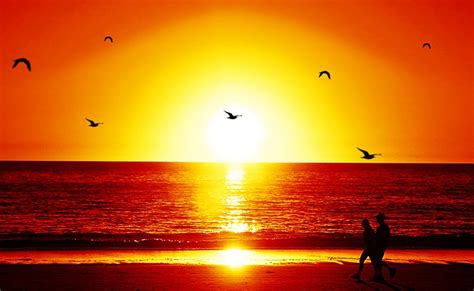 Pemandangan sunset yang indah di tepi pantai pasir panjang kota. Pemandangan Senja Di Tepi Pantai Lukisan - Gambar ...