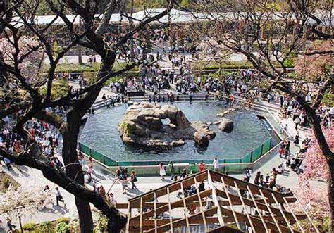 Let me show you around my new, improved site, devoted to all things big family, education, art, music, special needs, cooking and texas: Central Park Zoo - NYC-ARTS