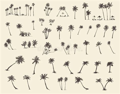 Vector Illustrations Silhouette Palm Trees Sketch Stock Vector