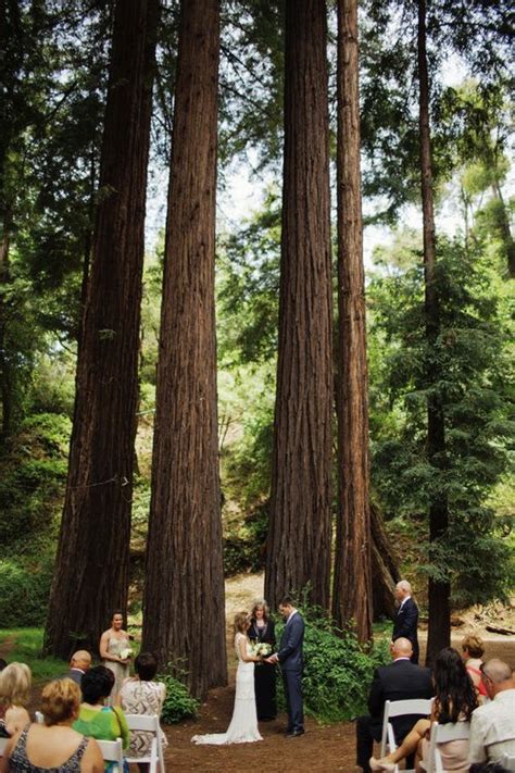 Big Sur Wedding Ceremony In The Redwoods By Top Wedding Photographer