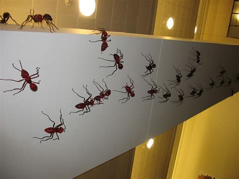 Ants enter our homes in search of their food. What Attracts Ants?