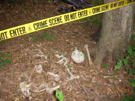 Forensic Anthropology - The Story is in the Bones - Coroner Talk™