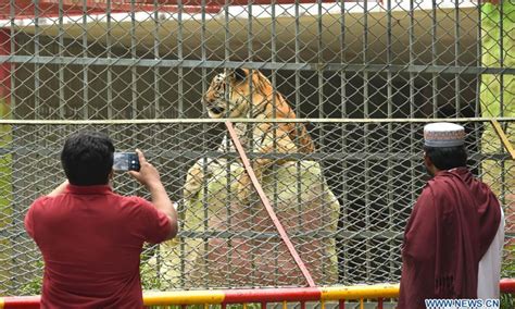 Zoo Reopens In Chattogram Bangladesh Global Times