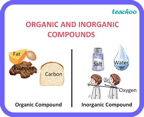Chemistry Difference Between Organic Compounds And Organic Chemistry