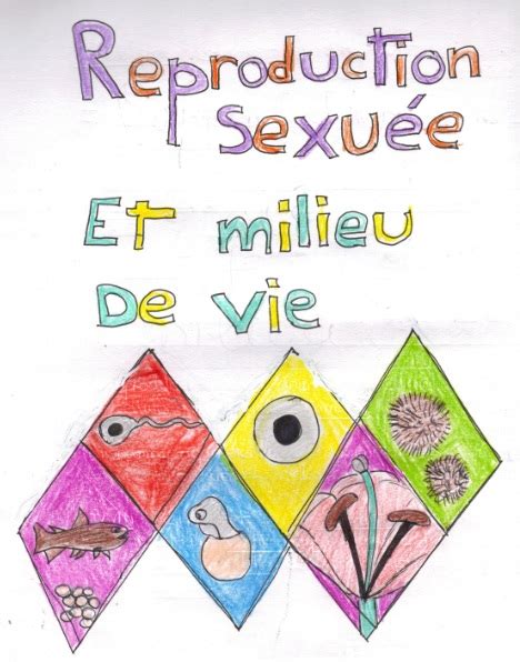 Reproduction Sexuee Et Milieu De Vie Vive Les Svt Les Sciences De