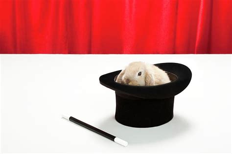 Rabbit In Top Hat With Magic Wand Digital Art By Sebastian Marmaduke
