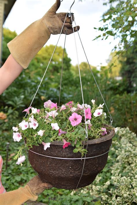 Proven Winners Diy Hanging Basket Giveaway Through August 1 Suburbia Mom