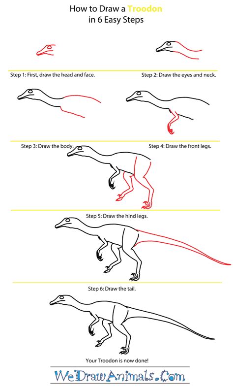How do you draw triceratops? How to Draw a Troodon
