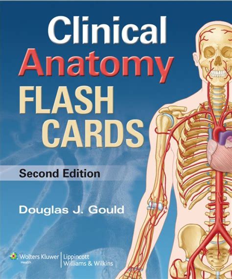 Anatomy And Physiology Intro Flash Cards Vvtigirls