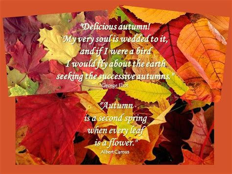 Autumn Quote September Quotes Welcome September Fall Season Quotes