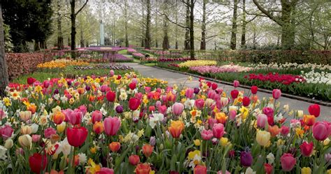 Mercredi Matin On Twitter Tulip Garden Beautiful Park Lake Garden