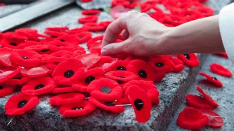 The Poppy Powerful Symbol Of Remembrance Ctv News
