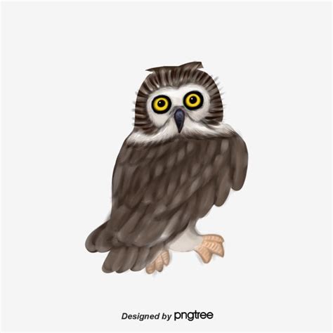 Cute American Owl With Big Eyes And Turning Head Lovely Cute Owl Big