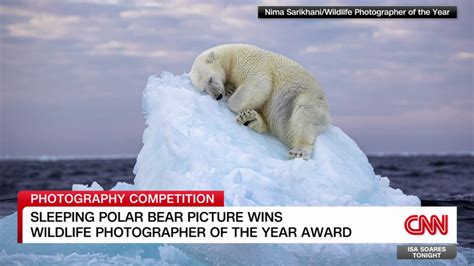 Winner Of Wildlife Photographer Of The Year Award Announced Cnn