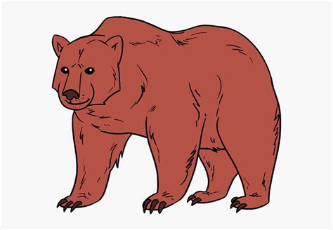 Easy Sun Bear Clipart Realistic Brown Drawing Free Draw A Brown Bear
