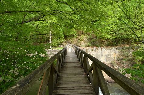 Wooden Bridge Across The River Stock Image Image Of Outdoor