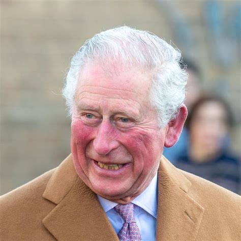 Prince Charles Takes Helicopter To Give Speech On Aircraft Emissions